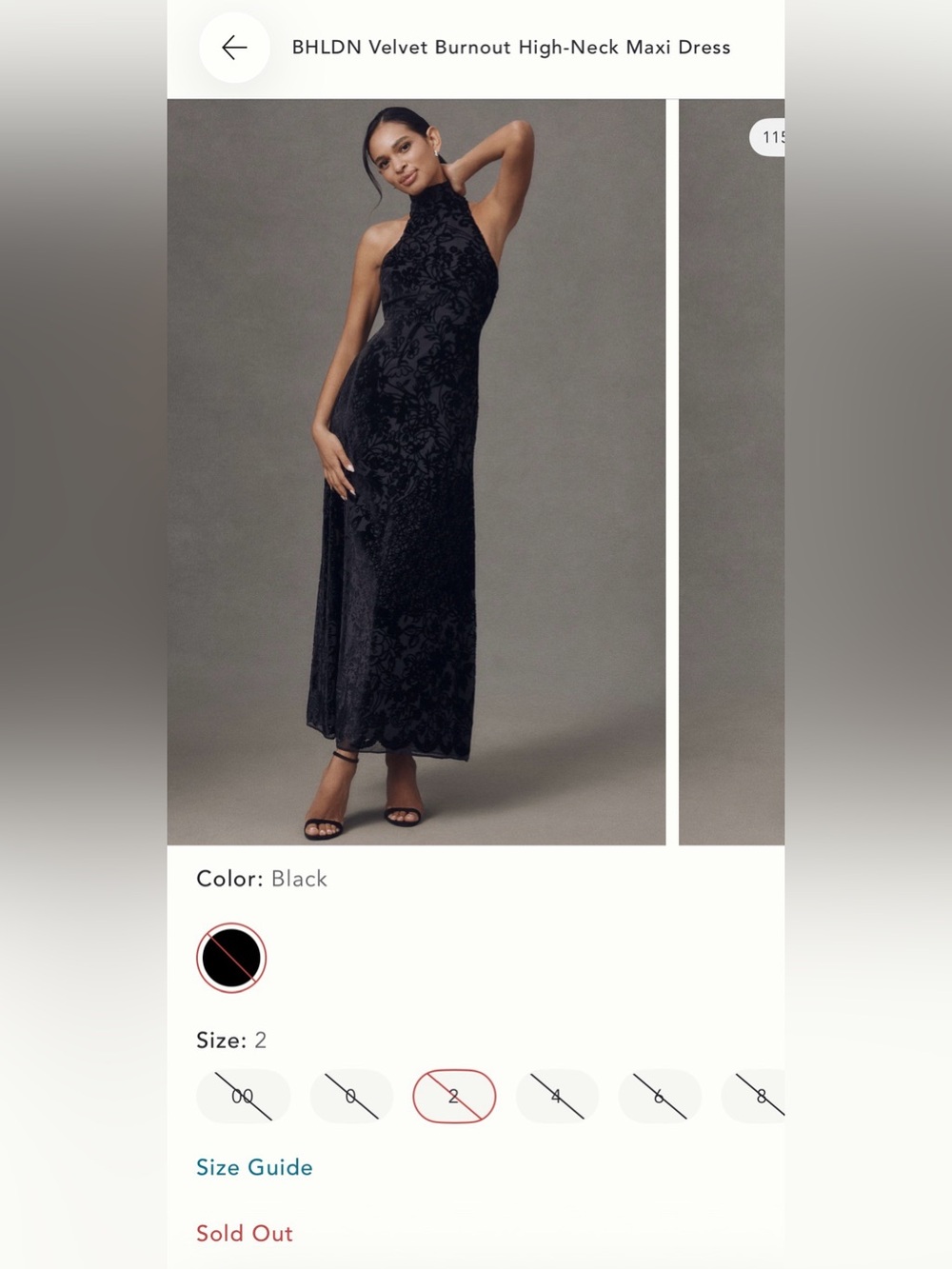 BHLDN Black Velvet Burnout High-Neck Maxi Dress